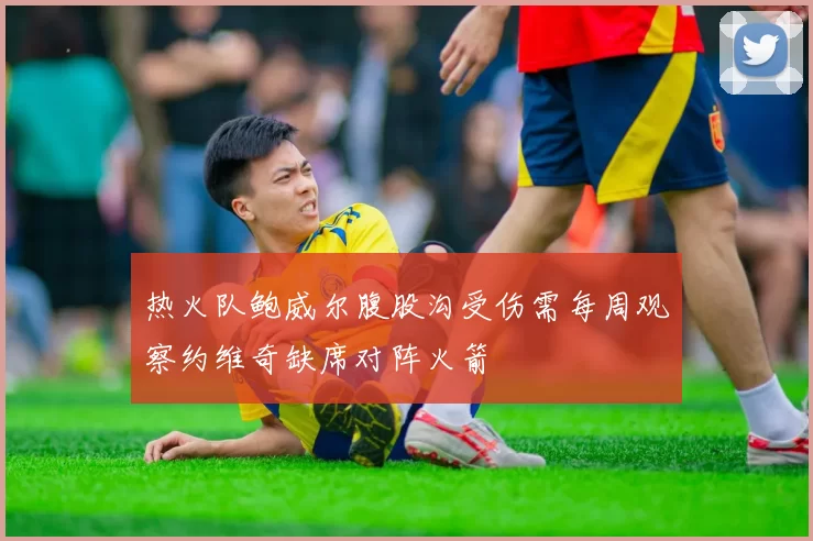 热火队鲍威尔腹股沟受伤需每周观察约维奇缺席对阵火箭