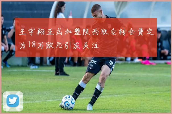 王宇翔正式加盟陕西联合转会费定为18万欧元引发关注