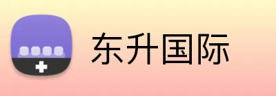 东升国际 Logo